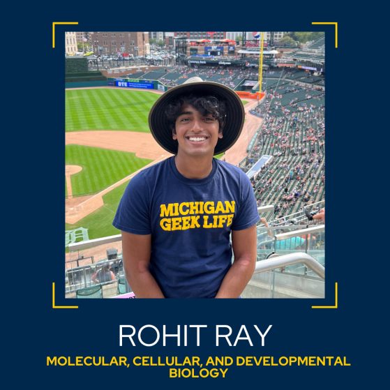 Image of Rohit Ray, Molecular, Cellular, and Developmental Biology major.