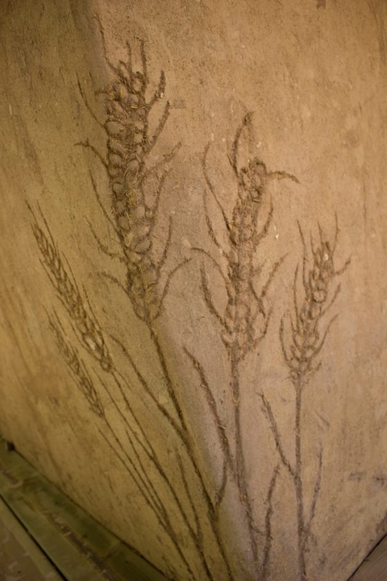 Stalks of wheat drawn into the surface of the adobe.