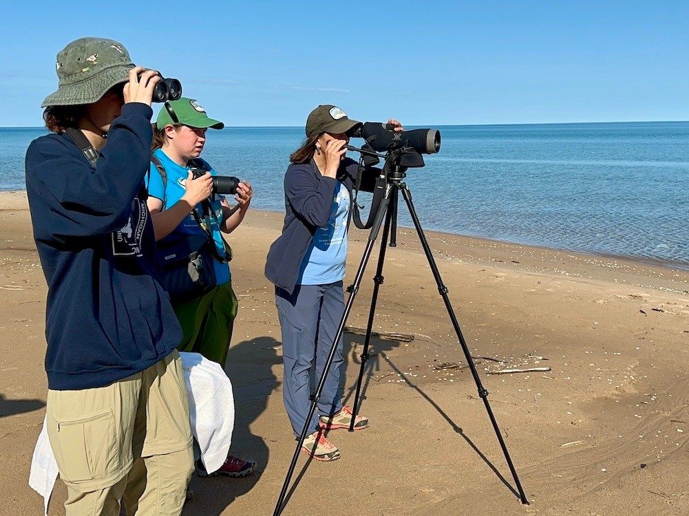 People on beach looking through binoculars
