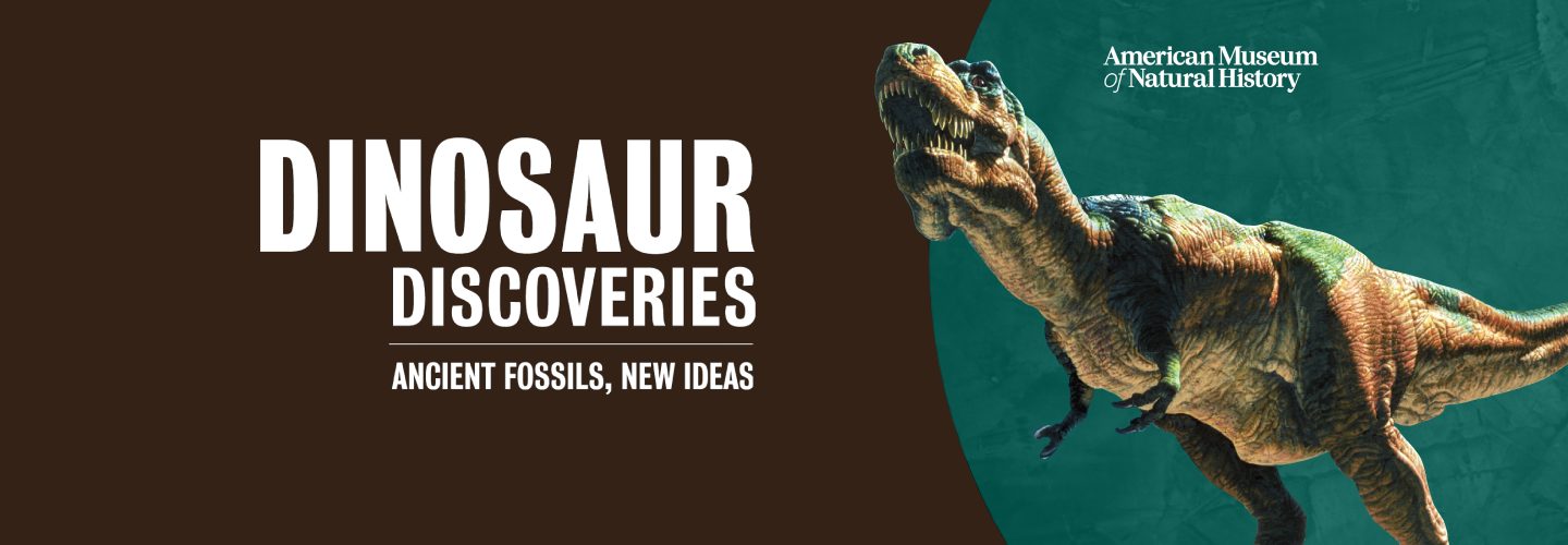 Dinosaur Discoveries Ancient Fossils New Ideas - American Museum of Natural History