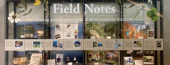 Field Notes collections case