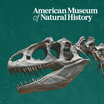 Traveling Exhibition from the American Museum of Natural History coming to the U-M Museum of Natural History in February 2024. Dinosaur Discoveries: Ancient Fossils, New Ideas is an engaging exhibition that reveals a vivid picture of what living, breathing dinosaurs were really like.

