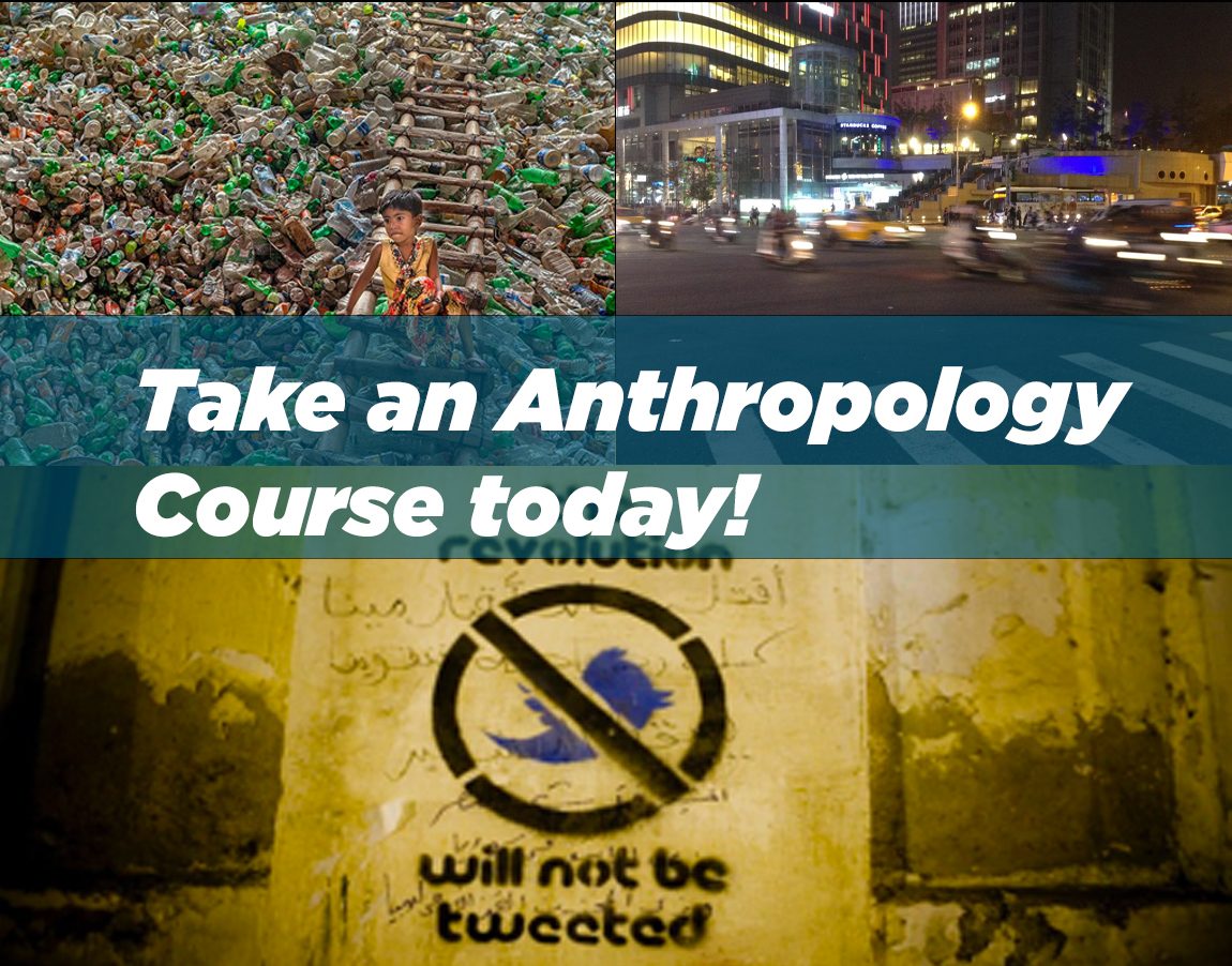 Take an anthropology course