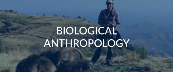 biological anthropology research topics