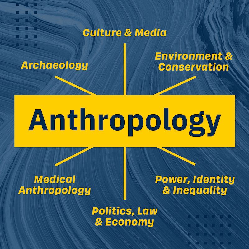 Anthropology in the center with lines radiating out to the six sub-majors