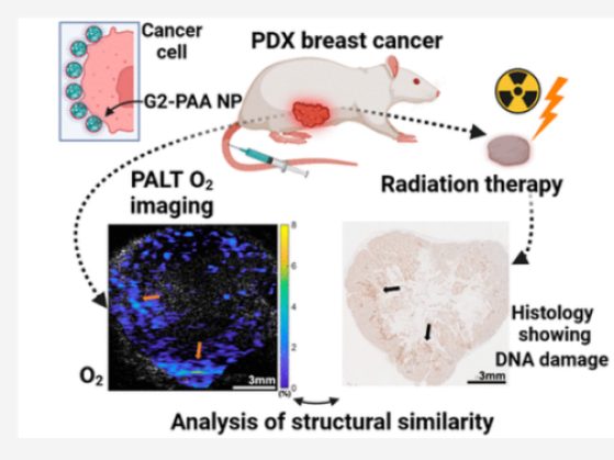 Graphical Abstract -- Personalized Oncology By In Vivo Chemical Imaging