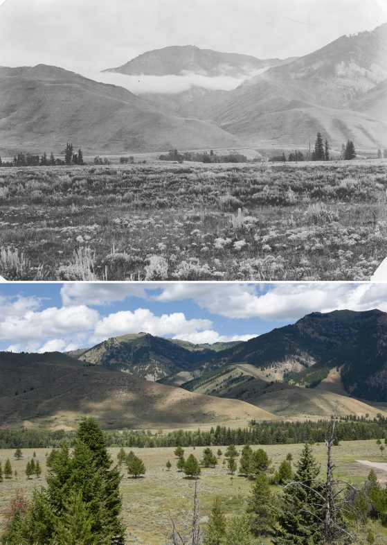 Two photographs. Top image black and white, bottom color. View across flat valley bottom covered in sage and sparse trees with mountains in background, featuring section resembling an animal's paw