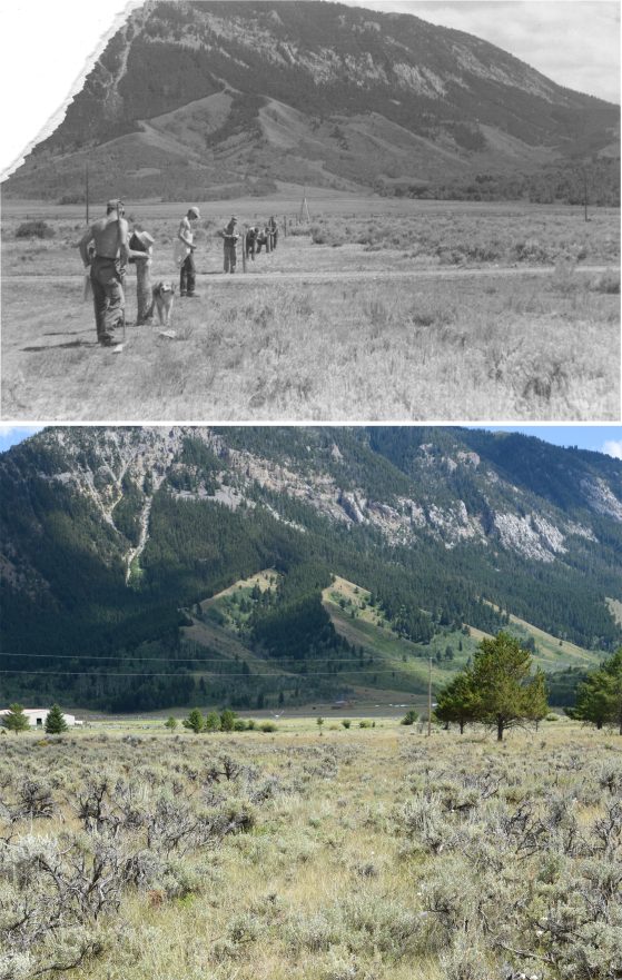 Two photographs. Top image black and white, bottom color. Sage-covered valley bottom with mountains in background. Upper image shows people surveying along a straight line, lower shows the path still visible in asge.
