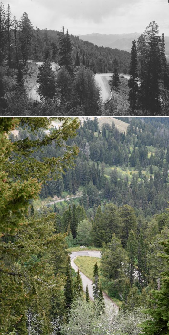 Two photographs. Top image black and white, bottom color. Looking down on twisting mountain pass road through trees