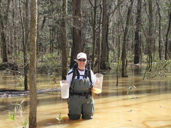 Meghan Duffy sampling pond water in Congaree National Park, South Carolina.