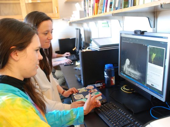 Victoria Zakrzewski (front) and Natalie Greenhalgh identify wildlife camera trap images on Michigan ZoomIn.