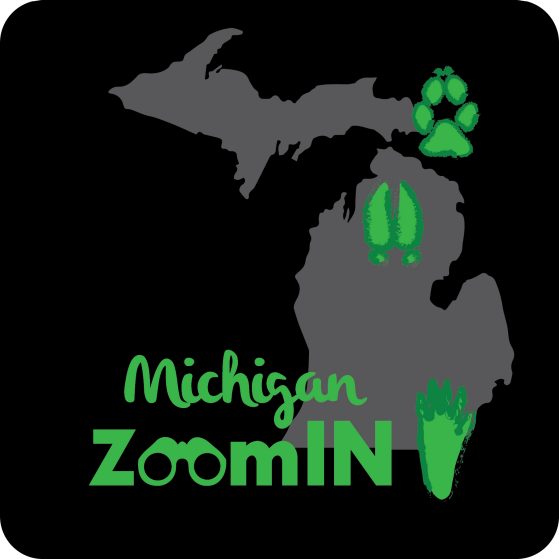 Michigan ZoomIn logo created by Victoria Zakrzewski
