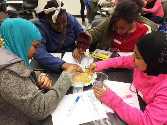 Students take part in Friends and Foes in Nature, an ecology activity in the Duffy Lab to learn about symbionts. 