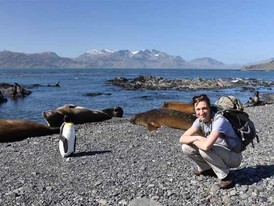 U-M microbiologist Melissa Duhaime on a beach on South Georgia Island with a king penguin and seals. Image credit: Maria Tsukernik