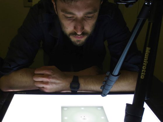 Jon Massey observes behavior in one of the fly species (Drosophila elegans) that he studies. He recorded some 700 videos (about 350 hours of video data) for this project.