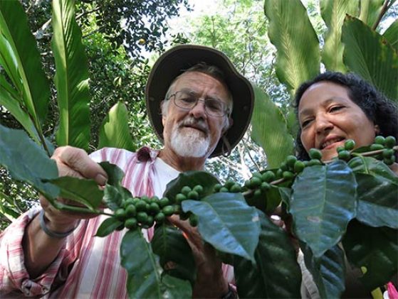 John Vandermeer and Ivette Perfecto inspecting a coffee plant in Mexico. 
