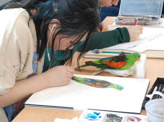 Iris Sun selected the parrot because she wanted to paint its beautiful colors.