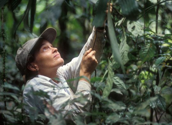 Robyn Burnham in Yasuni National Park, Ecuador.