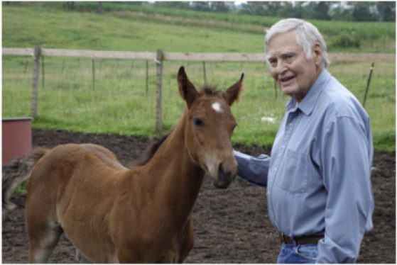 Richard Alexander with a foal
