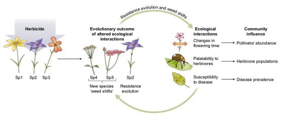 Resistance evolution and weed shifts diagram