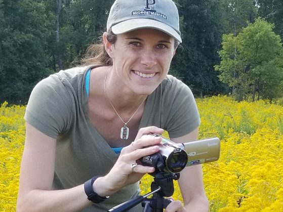 Michelle Fearon shoots video of bees visiting flowers in the field to determine interactions on flowers as a potential mechanism of transmission.