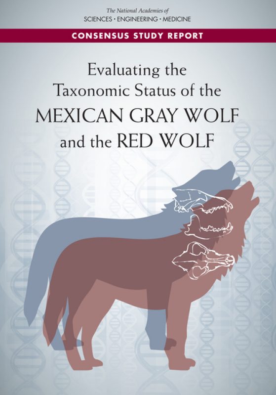 Cover of the report, Evaluating the Taxonomic Status of the Mexican Gray Wolf and the Red Wolf" with wolf outlined on cover, DNA strands in background 