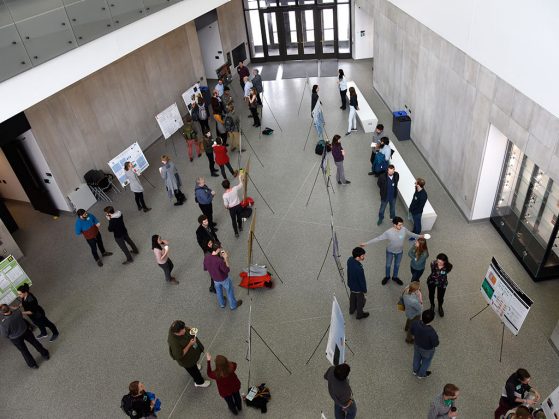 A bird’s-eye view of the poster session where students and postdocs from several universities presented their research.