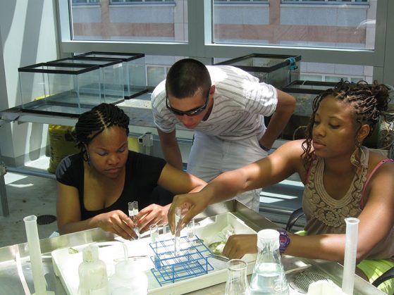 Students in an M-Bio lab. 