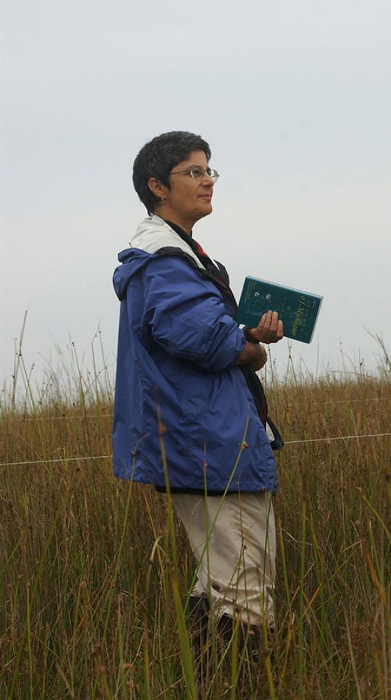 Deborah Goldberg collecting wetland plants to measure biomass allocation in tall grasses wearing waders.