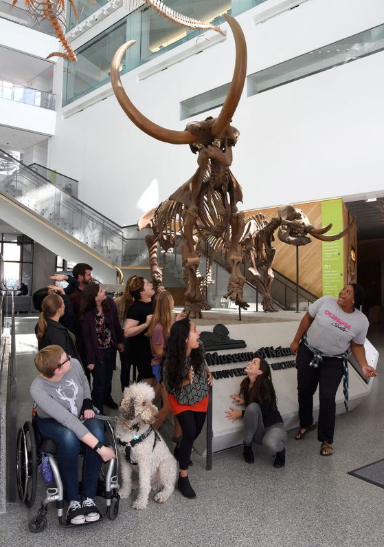 The GREEBs group having some fun acting scared of the U-M Museum of Natural History mastodons. 