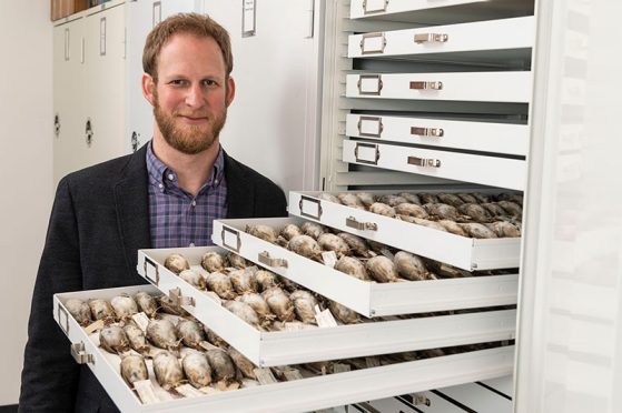 University of Michigan evolutionary biologist Benjamin Winger with some of the migratory songbirds used in a large study of avian responses to climate warming. Photo by Roger Hart/University of Michigan Photography.