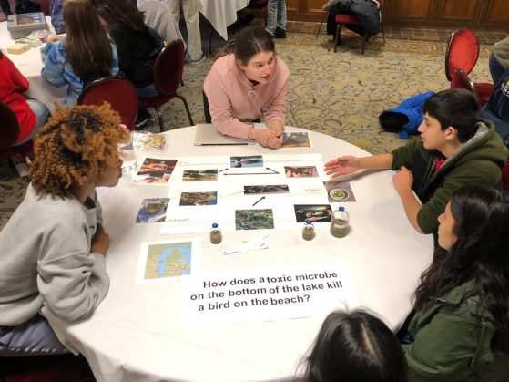 Students engage around the topic of around the topic of avian botulism in Lake Michigan.