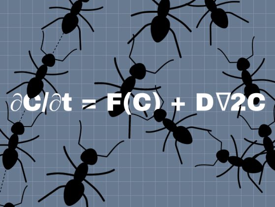 Illustration of ants on top of the Turing equation. Image: Chloe Oliva