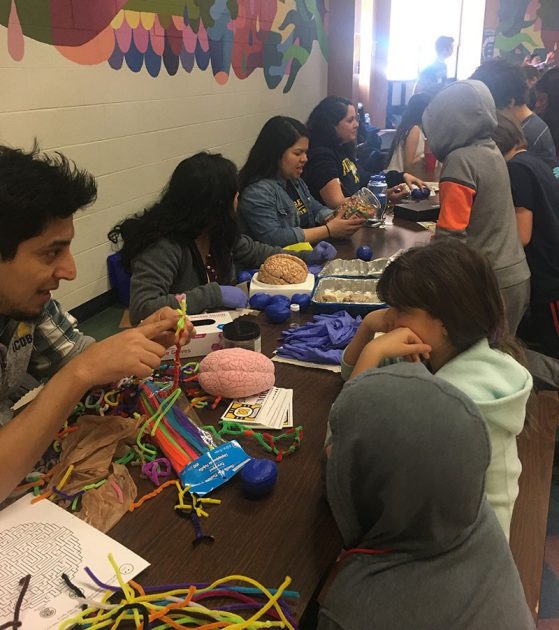 Volunteers teach curious children about the brain and neurons. Image credit: Kristel Sánchez. 