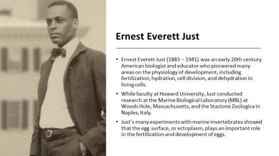 Slide of Ernest Everett Just, an American biologist and educator who pioneered many areas on the physiology of development