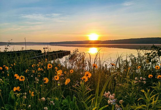 Honorable mention: “Summer Solstice, UMBS,” John Den Uyl. Sunrise and flowers on Douglas Lake