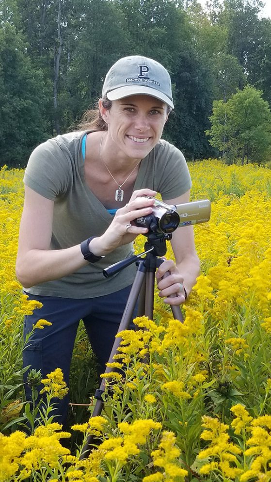 Michelle Fearon at Matthaei Botanical Gardens video recording honey bees and native bees visiting goldenrod. Image credit: Meagan Simons.