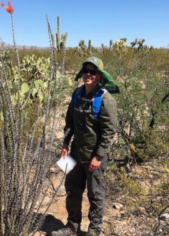 Will Weaver helping with a pollinator project in the Sonoran Desert in southern Arizona, surrounded by saguaro and ocotillo.