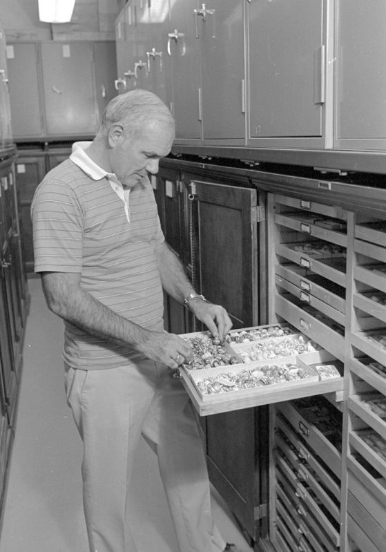 John "Jack" Burch in the mollusk collection in the Museum of Zoology, Ruthven Building. Image: David Bay archive collection