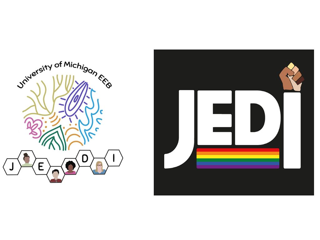 Winning JEDI logos by Diana Carolina Vergara and Brianna Mims. Logo on left has words University of Michigan EEB, the letters JEDI in a honeycomb pattern along the bottom with drawings of people's head and shoulders. Line art in a circular shape in the center looks like a leaf, water, flower, phylogeny, cell
