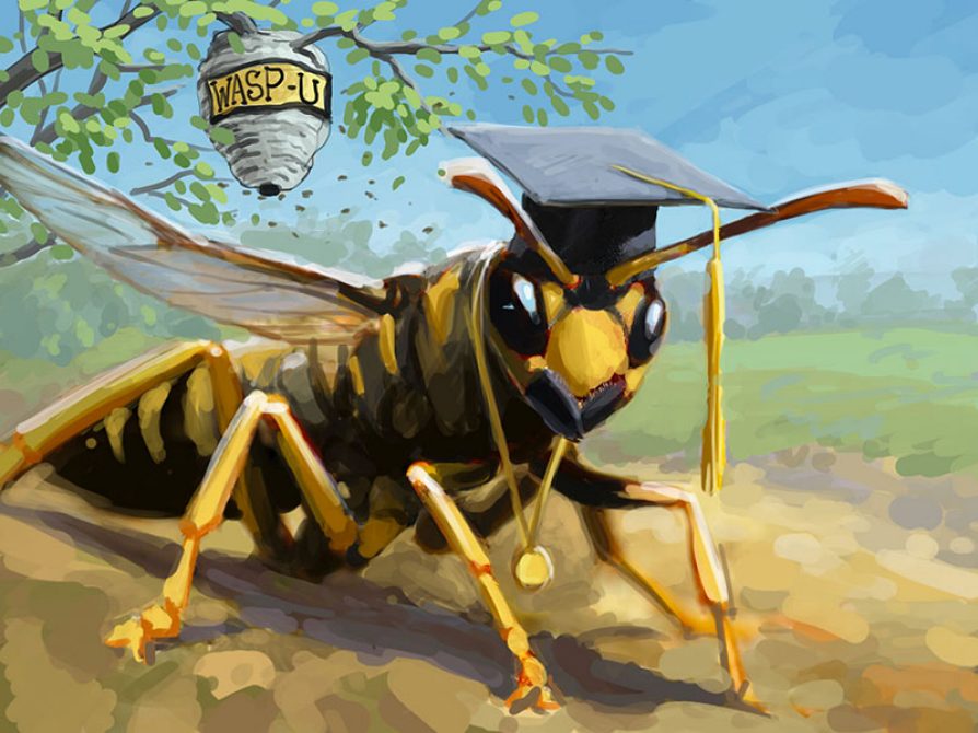 A wasp wearing a graduation cap with a nest in the background that reads WASP U. Illustration: John Megahan
