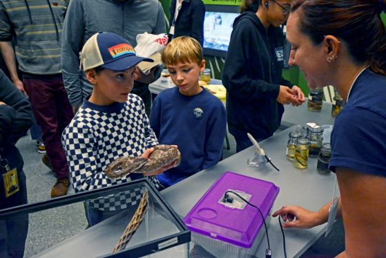 Two young boys admire a snake while graduate student, Haley, talks with them.