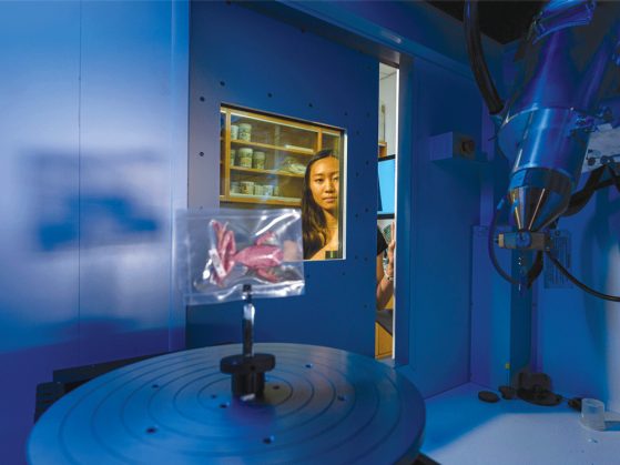 frog specimen being scanned by a machine with researcher Shion Otsuka in the background