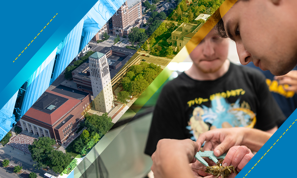 A collage of images including an aerial photo of the UM campus and bell tower, and two students measuring a small creature