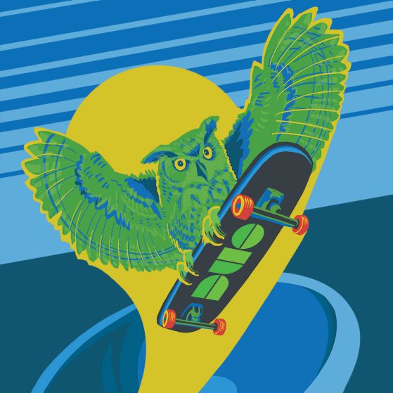 Illustration of an green and blue owl on a skateboard. The bottom of the board says Duo.