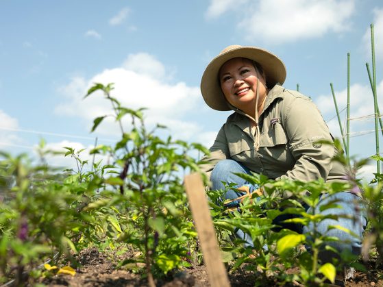 A photo of a women in a garden on a sunny day. She is kneeling and smiling, and she wears a sun hat.