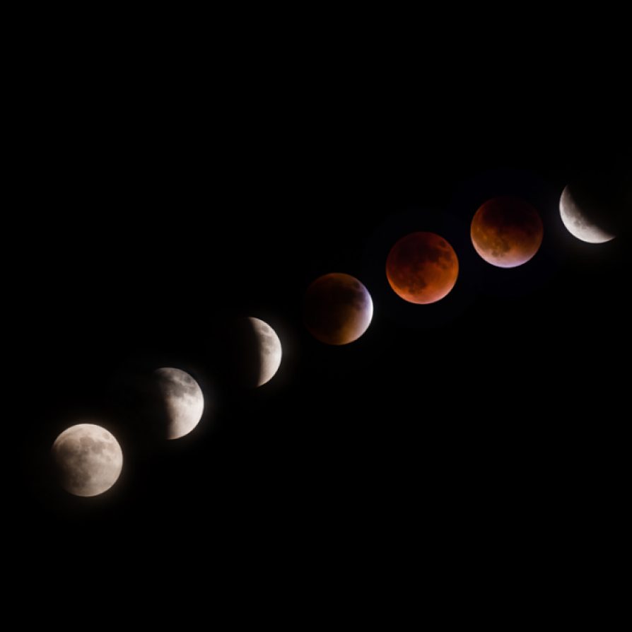 Joel Bregman, a professor of astronomy, talks about how astronomical events like the Nov. 8 lunar eclipse remind us to stay curious about our world.