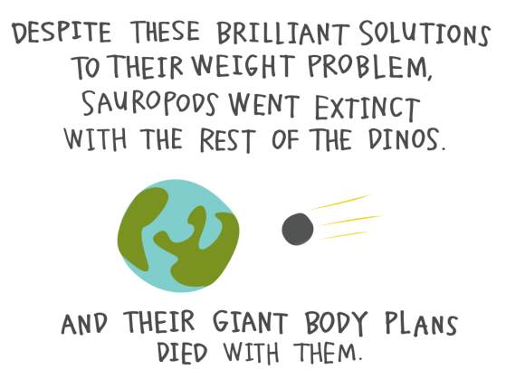 Despite these brilliant solutions to their weight problem, sauropods went extinct with the rest of the dinos. And their giant body plans died with them.