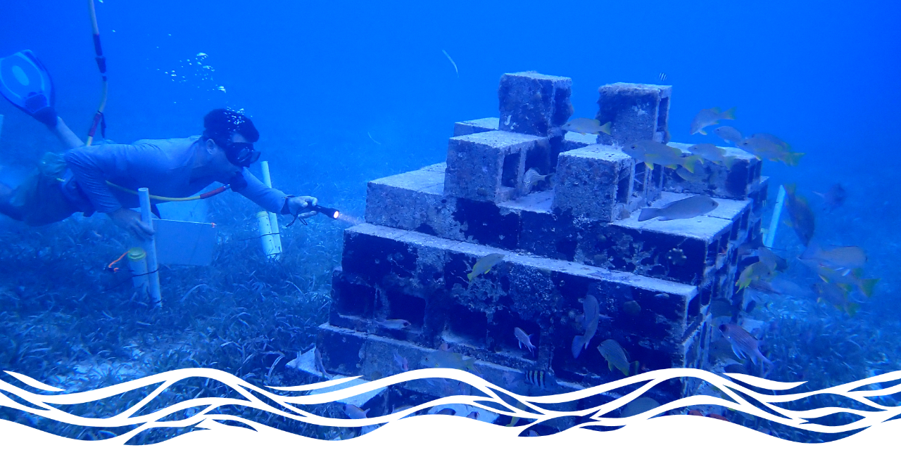 Jacob Allgeier scuba dives and uses a flashlight to look at one of his artificial reefs, which is surrounded by fish.