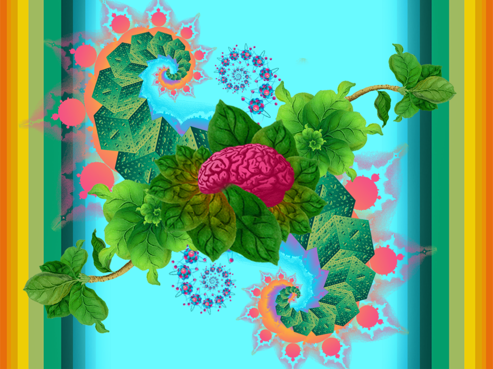 Collage in bright colors that shows fractals, a brain, leaves, and atoms.